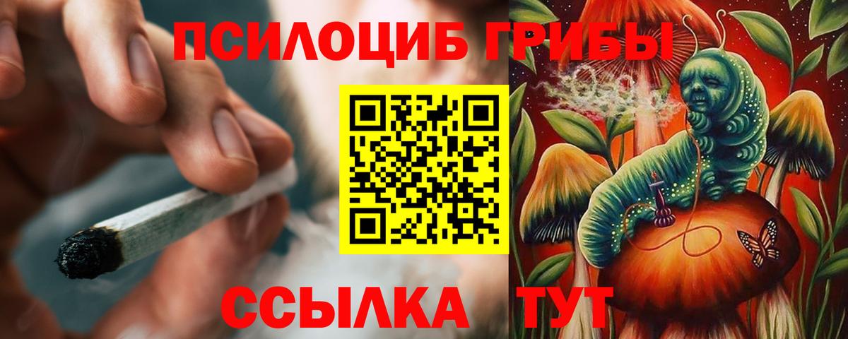 Кисловодск  Псилоцибиновые грибы ЛСД  купить наркотики сайты  Галлюциногенные грибы Psilocybe  Вход с VPN 